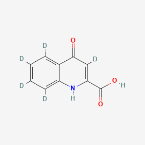 molecular formula C10H7NO3 B8228578 Kynurenic-3,5,6,7,8-D5 acid 