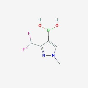 molecular formula C5H7BF2N2O2 B8228889 [3-(Difluoromethyl)-1-methyl-pyrazol-4-yl]boronic acid 
