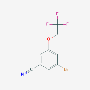3-Bromo-5-(2,2,2-trifluoro-ethoxy)-benzonitrile