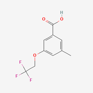 molecular formula C10H9F3O3 B8229665 3-Methyl-5-(2,2,2-trifluoroethoxy)benzoic acid 