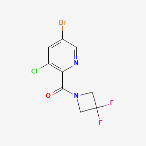 molecular formula C9H6BrClF2N2O B8229728 (5-Bromo-3-chloropyridin-2-yl)(3,3-difluoroazetidin-1-yl)methanone 