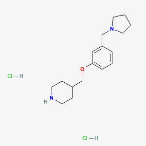 molecular formula C17H28Cl2N2O B8229768 4-[[3-(Pyrrolidin-1-ylmethyl)phenoxy]methyl]piperidine;dihydrochloride 
