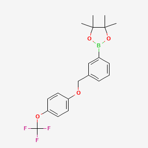 molecular formula C20H22BF3O4 B8231202 4,4,5,5-Tetramethyl-2-(3-((4-(trifluoromethoxy)phenoxy)methyl)phenyl)-1,3,2-dioxaborolane 