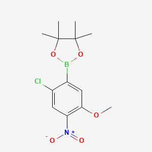 molecular formula C13H17BClNO5 B8231419 2-(2-Chloro-5-methoxy-4-nitrophenyl)-4,4,5,5-tetramethyl-1,3,2-dioxaborolane 