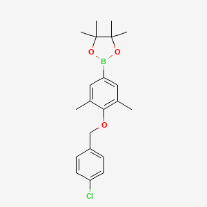 molecular formula C21H26BClO3 B8231788 2-(4-((4-Chlorobenzyl)oxy)-3,5-dimethylphenyl)-4,4,5,5-tetramethyl-1,3,2-dioxaborolane 