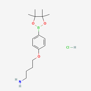 molecular formula C16H27BClNO3 B8231828 4-(4-(4,4,5,5-Tetramethyl-1,3,2-dioxaborolan-2-yl)phenoxy)butan-1-amine hydrochloride 