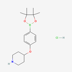 4-(4-(4,4,5,5-Tetramethyl-1,3,2-dioxaborolan-2-yl)phenoxy)piperidine hydrochloride