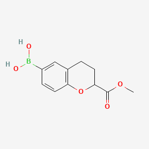 molecular formula C11H13BO5 B8232974 (2-(Methoxycarbonyl)chroman-6-yl)boronic acid 