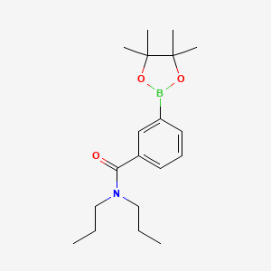 molecular formula C19H30BNO3 B8232996 N,N-Dipropyl-3-(4,4,5,5-tetramethyl-1,3,2-dioxaborolan-2-yl)benzamide 