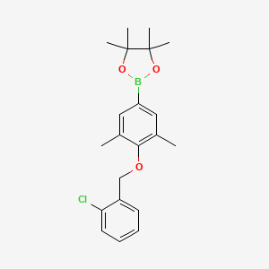 2-(4-((2-Chlorobenzyl)oxy)-3,5-dimethylphenyl)-4,4,5,5-tetramethyl-1,3,2-dioxaborolane