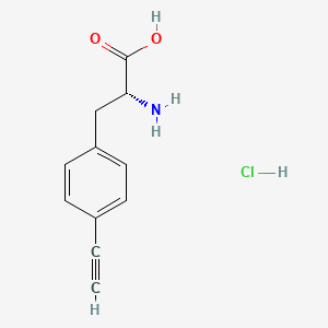 molecular formula C11H12ClNO2 B8233748 (2R)-2-amino-3-(4-ethynylphenyl)propanoic acid;hydrochloride 