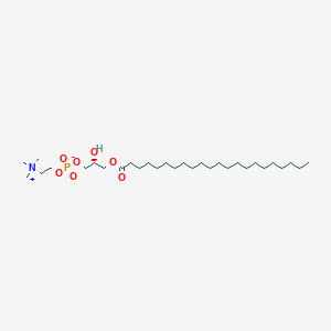 molecular formula C30H62NO7P B8235794 1-二十二酰基-2-羟基-sn-甘油-3-磷酸胆碱 
