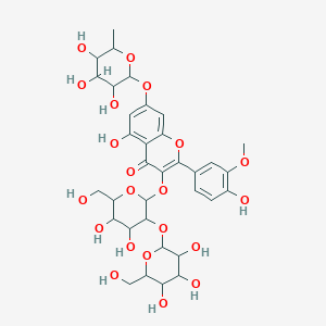 molecular formula C34H42O21 B8236225 Isorhamnetin 3-sophoroside 7-rhamnoside 