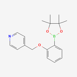 molecular formula C18H22BNO3 B8237674 2-[2-((4-Pyridyl)methoxy)phenyl]-4,4,5,5-tetramethyl-1,3,2-dioxaborolane 