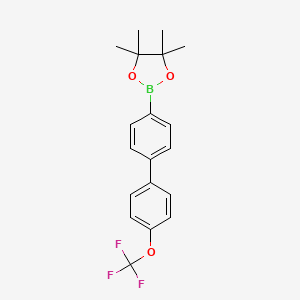 molecular formula C19H20BF3O3 B8237688 4,4,5,5-Tetramethyl-2-[4-[4-(trifluoromethoxy)phenyl]phenyl]-1,3,2-dioxaborolane 