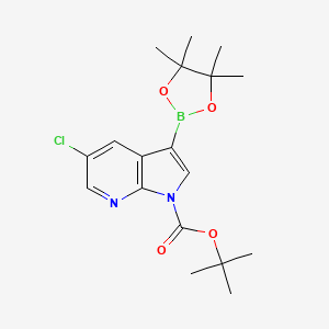 molecular formula C18H24BClN2O4 B8238335 tert-Butyl 5-chloro-3-(4,4,5,5-tetramethyl-1,3,2-dioxaborolan-2-yl)-1H-pyrrolo[2,3-b]pyridine-1-carboxylate 