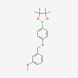 molecular formula C20H25BO4 B8238615 2-(4-((3-Methoxybenzyl)oxy)phenyl)-4,4,5,5-tetramethyl-1,3,2-dioxaborolane 