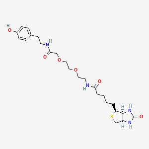 molecular formula C24H36N4O6S B8238725 5-[(3aS,4S,6aR)-2-oxo-1,3,3a,4,6,6a-hexahydrothieno[3,4-d]imidazol-4-yl]-N-[2-[2-[2-[2-(4-hydroxyphenyl)ethylamino]-2-oxoethoxy]ethoxy]ethyl]pentanamide 
