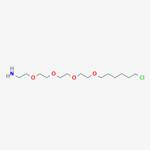 molecular formula C14H30ClNO4 B8238787 2-[2-[2-[2-(6-Chlorohexoxy)ethoxy]ethoxy]ethoxy]ethanamine 