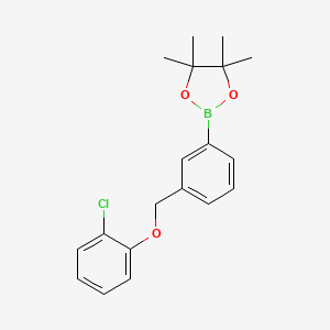 molecular formula C19H22BClO3 B8239020 2-(3-((2-Chlorophenoxy)methyl)phenyl)-4,4,5,5-tetramethyl-1,3,2-dioxaborolane 