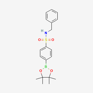 molecular formula C19H24BNO4S B8240711 N-benzyl-4-(4,4,5,5-tetramethyl-1,3,2-dioxaborolan-2-yl)benzenesulfonamide 