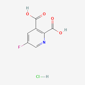 molecular formula C7H5ClFNO4 B8240760 5-Fluoropyridine-2,3-dicarboxylic acid hydrochloride 