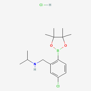 molecular formula C16H26BCl2NO2 B8240785 N-(5-Chloro-2-(4,4,5,5-tetramethyl-1,3,2-dioxaborolan-2-yl)benzyl)propan-2-amine hydrochloride 