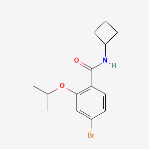 molecular formula C14H18BrNO2 B8241013 4-Bromo-N-cyclobutyl-2-isopropoxybenzamide 