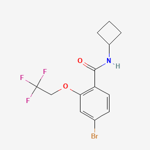 molecular formula C13H13BrF3NO2 B8241018 4-Bromo-N-cyclobutyl-2-(2,2,2-trifluoroethoxy)benzamide 