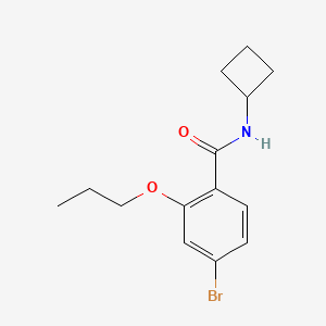 molecular formula C14H18BrNO2 B8241029 4-Bromo-N-cyclobutyl-2-propoxybenzamide 