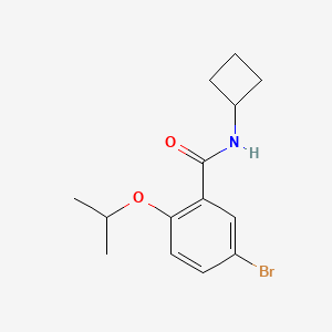 molecular formula C14H18BrNO2 B8241097 5-Bromo-N-cyclobutyl-2-isopropoxybenzamide 