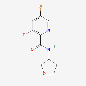 molecular formula C10H10BrFN2O2 B8241149 5-Bromo-3-fluoro-N-(tetrahydrofuran-3-yl)picolinamide 