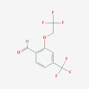 molecular formula C10H6F6O2 B8241181 2-(2,2,2-Trifluoroethoxy)-4-(trifluoromethyl)benzaldehyde 