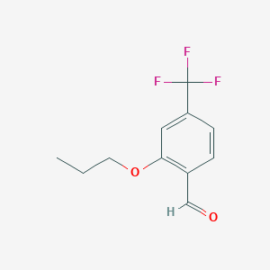 molecular formula C11H11F3O2 B8241191 2-Propoxy-4-(trifluoromethyl)benzaldehyde 