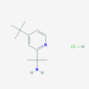 molecular formula C12H21ClN2 B8241676 2-(4-tert-Butylpyridin-2-yl)propan-2-amine hydrochloride 
