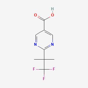 molecular formula C9H9F3N2O2 B8242129 2-(1,1,1-Trifluoro-2-methylpropan-2-yl)pyrimidine-5-carboxylic acid 