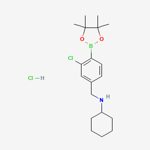 molecular formula C19H30BCl2NO2 B8243377 N-(3-Chloro-4-(4,4,5,5-tetramethyl-1,3,2-dioxaborolan-2-yl)benzyl)cyclohexanamine hydrochloride 