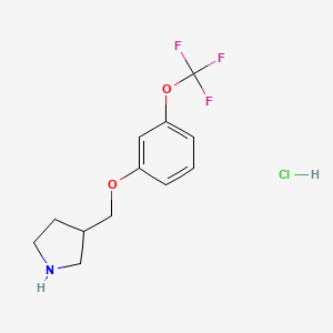 molecular formula C12H15ClF3NO2 B8243628 3-((3-(Trifluoromethoxy)phenoxy)methyl)pyrrolidine hydrochloride 