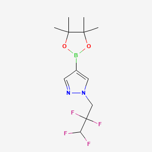molecular formula C12H17BF4N2O2 B8243703 1-(2,2,3,3-Tetrafluoropropyl)pyrazole-4-boronic Acid Pinacol Ester 