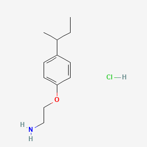 molecular formula C12H20ClNO B8244410 2-(4-(sec-Butyl)phenoxy)ethanamine hydrochloride 