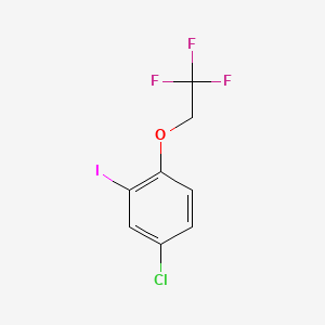 molecular formula C8H5ClF3IO B8244504 4-Chloro-2-iodo-1-(2,2,2-trifluoroethoxy)benzene 