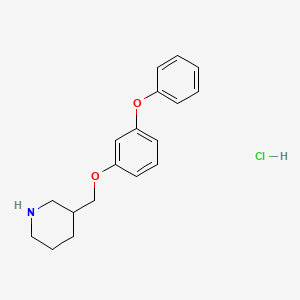 molecular formula C18H22ClNO2 B8244532 3-((3-Phenoxyphenoxy)methyl)piperidine hydrochloride 