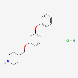 molecular formula C18H22ClNO2 B8244537 4-((3-Phenoxyphenoxy)methyl)piperidine hydrochloride 