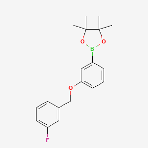 molecular formula C19H22BFO3 B8245258 2-(3-((3-Fluorobenzyl)oxy)phenyl)-4,4,5,5-tetramethyl-1,3,2-dioxaborolane 