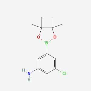 molecular formula C12H17BClNO2 B8246050 3-Chloro-5-(4,4,5,5-tetramethyl-1,3,2-dioxaborolan-2-yl)aniline 