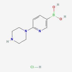 molecular formula C9H15BClN3O2 B8246235 (6-(Piperazin-1-yl)pyridin-3-yl)boronic acid hydrochloride 