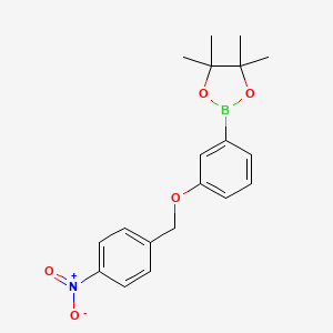 molecular formula C19H22BNO5 B8246553 4,4,5,5-Tetramethyl-2-(3-((4-nitrobenzyl)oxy)phenyl)-1,3,2-dioxaborolane 