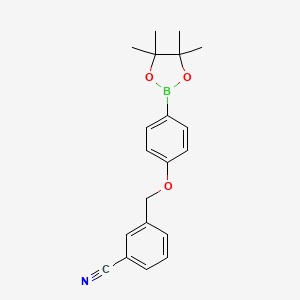 molecular formula C20H22BNO3 B8246556 3-((4-(4,4,5,5-Tetramethyl-1,3,2-dioxaborolan-2-yl)phenoxy)methyl)benzonitrile 