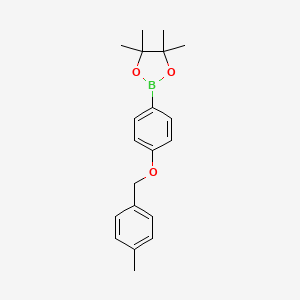 molecular formula C20H25BO3 B8246564 4,4,5,5-Tetramethyl-2-(4-((4-methylbenzyl)oxy)phenyl)-1,3,2-dioxaborolane 