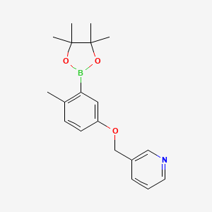 molecular formula C19H24BNO3 B8246834 3-((4-Methyl-3-(4,4,5,5-tetramethyl-1,3,2-dioxaborolan-2-yl)phenoxy)methyl)pyridine 